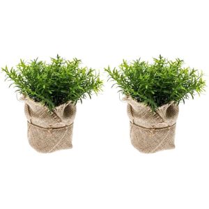 Voordeelset van 5x stuks kunstplanten tijm kruiden groen in pot 16 cm -  kleine kunstplantjes/nepplanten / kunstplanten kopen? Vergelijk de beste  prijs op beslist.nl