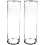 Set van 2x stuks hoge glazen cilinder bloemenvazen 50 x 15 cm - Transparant - Vazen/vaas - Boeketvazen