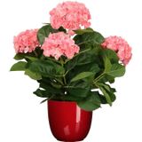 Hortensia kunstplant/kunstbloemen 45 cm - roze - in pot rood glans - Kunst kamerplant