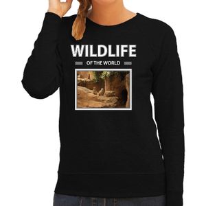 Dieren foto sweater Stokstaartje - zwart - dames - wildlife of the world - cadeau trui Stokstaartjes liefhebber