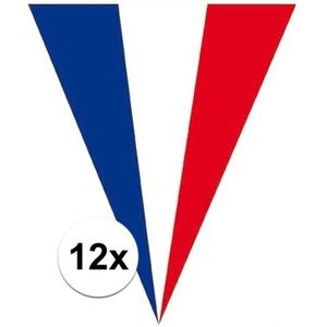 12x Frankrijk vlaggenlijnen 5 meter