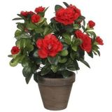 Set van 3x stuks groene Azalea kunstplanten rode bloemen 27 cm in pot stan grey - Kunstplanten/nepplanten