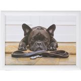 2x Schootkussens/laptrays schattige Franse bulldog honden print 43 x 33 cm - Schoottafels - Dienbladen voor op schoot