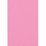 2x Licht roze papieren tafelkleden 137 x 274 cm - Tafeldecoratie