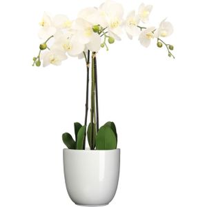Orchidee kunstplant wit - 75 cm - inclusief bloempot wit glans - Kunstbloemen in pot