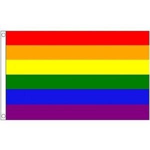 2x Regenboog LGBT vlag 90 x 150 cm - Pride vlaggen / feestversiering