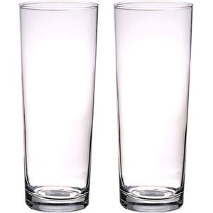2x stuks rechte cilinder vaas/vazen glas 24 cm - kleine glazen vaasjes - Bloemenvazen van glas