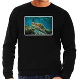 Dieren sweater met schildpadden foto - zwart - heren - natuur / zeeschildpad cadeau trui - kleding / sweat shirt