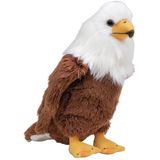 Pluche Amerikaanse Zeearend vogel knuffel van 20 cm - Dieren speelgoed knuffels cadeau - Roofvogels