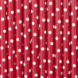 Partydeco Drinkrietjes - papier - 50x - rood/wit polkadots - 19,5 cm - rietjes