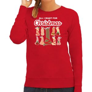 Bellatio Decorations foute kersttrui/sweater voor dames - All I want for Christmas - piemels - rood