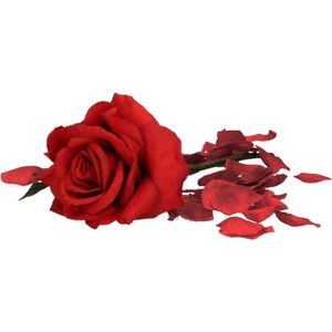 Valentijnscadeau rode roos 31 cm met bordeauxrode rozenblaadjes