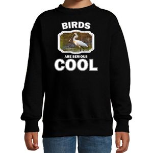 Dieren vogels sweater zwart kinderen - birds are serious cool trui jongens/ meisjes - cadeau lepelaar vogel/ vogels liefhebber - kinderkleding / kleding