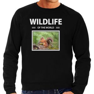 Dieren foto sweater Eekhoorn - zwart - heren - wildlife of the world - cadeau trui Eekhoorns liefhebber