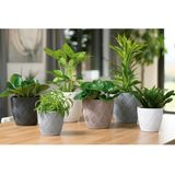 Form Plastic Plantenpot set New Age - 3x stuks - kunststof - platina grijs - met schotel