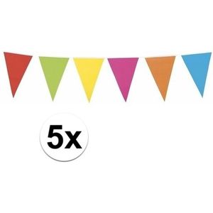 5x XL vlaggenlijn gekleurd 10 meter