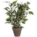 Groen/witte ficus kunstplant 40 cm met plantenpot zilver metallic D13.5 en H12.5 cm