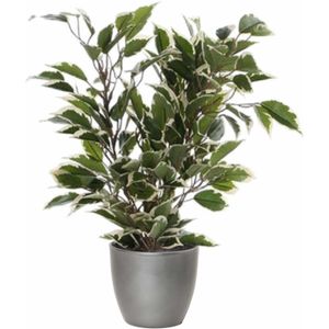 Groen/witte ficus kunstplant 40 cm met plantenpot zilver metallic D13.5 en H12.5 cm