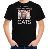 Kitten Kerstshirt / Kerst t-shirt All i want for Christmas is cats zwart voor kinderen - Kerstkleding / Christmas outfit