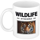 Dieren foto mok tijger - 300 ml - wildlife of the world - cadeau beker / mok tijgers liefhebber