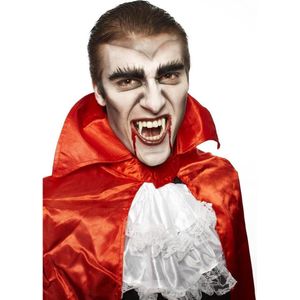 Horror vampieren/dracula schmink set inclusief nep bloed - Halloween verkleed accessoires