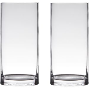 Set van 2x stuks transparante home-basics Cylinder vorm vaas/vazen van glas 35 x 15 cm - Bloemen/takken/boeketten vaas voor binnen gebruik
