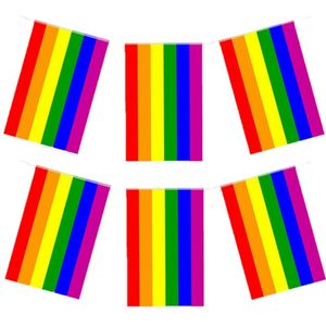 Regenboog vlaggenlijn - 2 stuks - 7 meter - 25 x 20 cm - feest - Pride