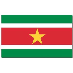 2x stuks vlag Suriname 90 x 150 cm feestartikelen - Suriname landen thema supporters