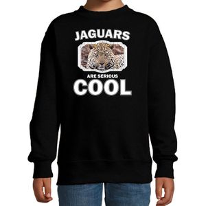 Dieren jaguars sweater zwart kinderen - jaguars are serious cool trui jongens/ meisjes - cadeau jaguar/ jaguars liefhebber - kinderkleding / kleding