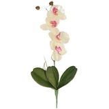 2x Roze/wit Orchidee/Phalaenopsis kunstplant 44 cm voor binnen - kunstplanten/nepplanten/binnenplanten