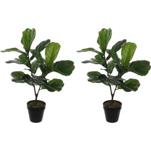 2x stuks groene ficus Lyrata kunstplant 75 cm voor binnen - kunstplanten/nepplanten/binnenplanten met pot