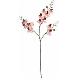 Mica Decorations Kunstbloem Orchidee tak - 5x - lichtroze - 75 cm - Kunst zijdebloemen