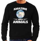 Sweater ijsbeer - zwart - heren - amazing wild animals - cadeau trui ijsbeer / ijsberen liefhebber