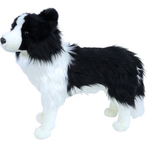 Grote pluche zwart/witte Border Collie hond knuffel 53 cm - Honden huisdieren knuffels - Speelgoed voor kinderen