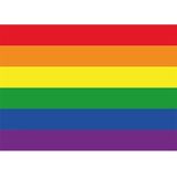 Pakket van 50x stuks regenboog / LGBT vlag sticker 7.5 x 10 cm - Gay pride Amsterdam stickers