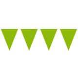 Witte/Groene feest punt vlaggetjes pakket - 80 meter - slingers / vlaggenlijn