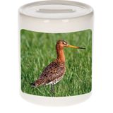 Dieren grutto vogel foto spaarpot 9 cm jongens en meisjes - Cadeau spaarpotten grutto vogel vogels liefhebber