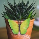 Tuindecoratie bloempothanger vlinder - set 2x - groen/rood - kunststeen - 13 x 10 cm
