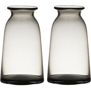 Set van 2x stuks transparante home-basics grijze vaas/vazen van glas 23.5 x 12.5 cm - Bloemen/takken/boeketten vaas voor binnen gebruik