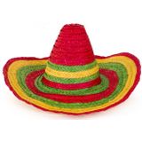 Partyxplosion Mexicaanse Sombrero hoed voor heren - carnaval/verkleed accessoires - multi kleuren - dia 47 cm