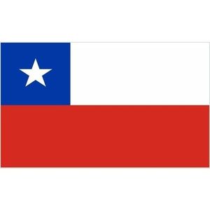 Mini vlag Chili 60 x 90 cm