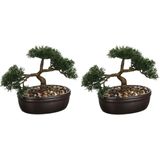 Set van 2x stuks atmosphera bonsai in keramische pot 23 cm - Nepplanten