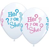 Gender reveal party versieringen pakket geboorte jongen grote prik-ballon/ballonnen he or she/vlaggetjes