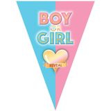 Gender reveal party versieringen pakket geboorte jongen grote prik-ballon/ballonnen he or she/vlaggetjes