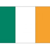 20x Binnen en buiten stickers Ierland 10 cm - Ierse vlag stickers - Supporter feestartikelen - Landen decoratie en versieringen