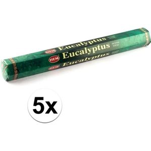 5x Eucalyptus wierook - 20 stokjes / geurstokjes