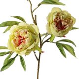 Topart Kunstbloem pioenroos Spring Dream - 5x - groen/roze - 73 cm - kunststof steel - decoratie