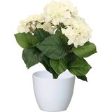 Hortensia Kunstplant met Bloemen Wit - In Pot Wit - 40 cm Hoog