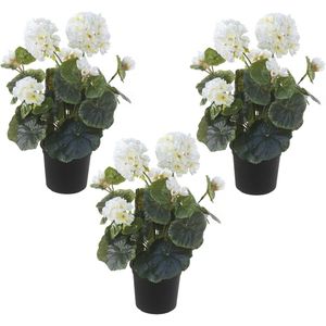 Set van 3x stuks witte geranium kunstplanten in zwarte kunststof pot 35 cm - Pelargonium Graveolens - Woondecoratie