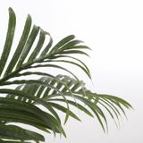 Mica Decorations grote Palm kunstplant - groen - H110 x D90 cm - top kwaliteit
